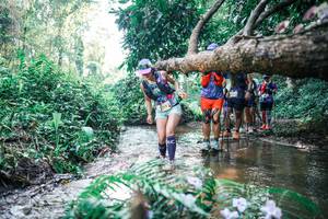 BIB: 
                            <button type="button" onclick="openModal(25450219)" class="btn btn-primary btn-sm float-right btn-popup" data-toggle="modal" data-target=".modal-high-quality">
                        <i class="fas fa-shopping-cart"></i> Add to Cart
                    </button>
                                            <button type="button" onclick="isThisMe(25450219, true)" class="btn btn-success btn-sm float-right btn-popup btn-isme hidden" data-toggle="tooltip" data-placement="bottom" title="นี่คือรูปของคุณใช่ไหม คลิกที่นี่เพื่อเอาเข้าอัลบั้ม">
                        <i class="fas fa-plus"></i> Add to album
                    </button>
                    <button type="button" onclick="isThisMe(25450219, false)" class="btn btn-warning btn-sm float-right btn-popup btn-isnotme hidden">
                        <i class="fas fa-ban"></i> Remove from album
                    </button>